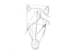 come disegnare un cavallo a matita passo dopo passo 23