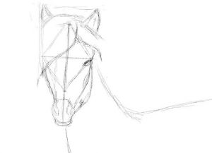 bagaimana untuk menarik kuda dalam langkah pensel dengan langkah 24