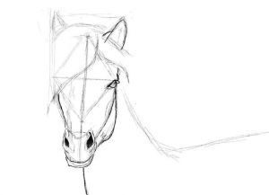 bagaimana untuk menarik kuda dalam langkah pensil dengan langkah 25
