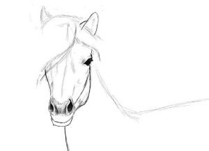 bagaimana untuk menarik kuda dalam langkah pensil dengan langkah 26