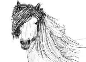 come disegnare un cavallo a matita passo dopo passo 28
