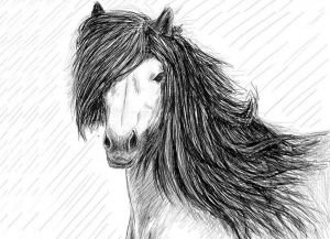 cara menggambar kuda dengan pensil secara berperingkat 30