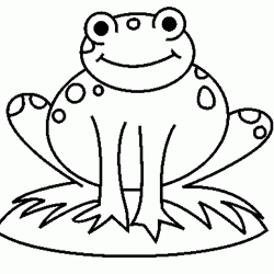 Как нарисовать лягушку 19