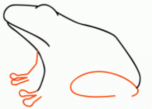 Как нарисовать лягушку 36