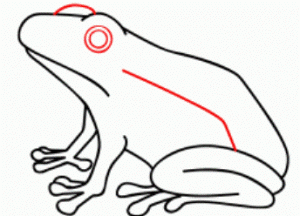 Cara menggambar katak 39