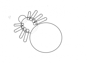 Cara menggambar labah-labah 5