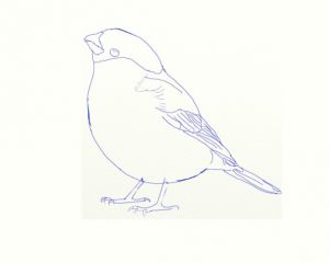 как нарисовать птицу 5