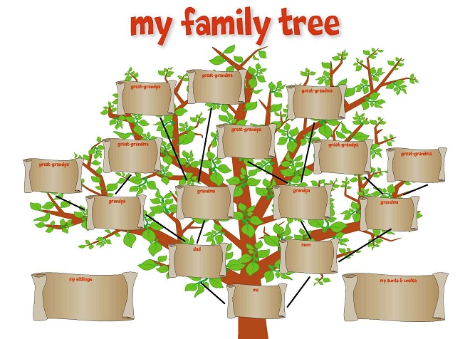 cara menggambar pokok keluarga di sekolah13