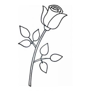 Как нарисовать поэтапно розу 7