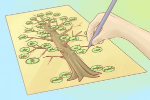 как нарисовать семейное дерево 6