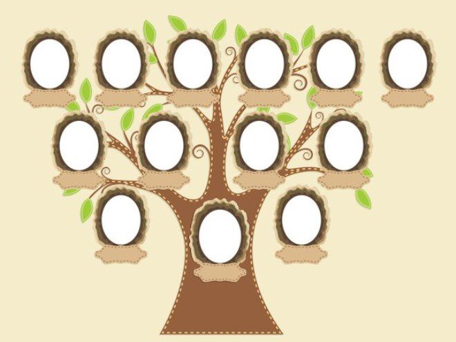 Kaip parengti mokyklos šeimų medį11