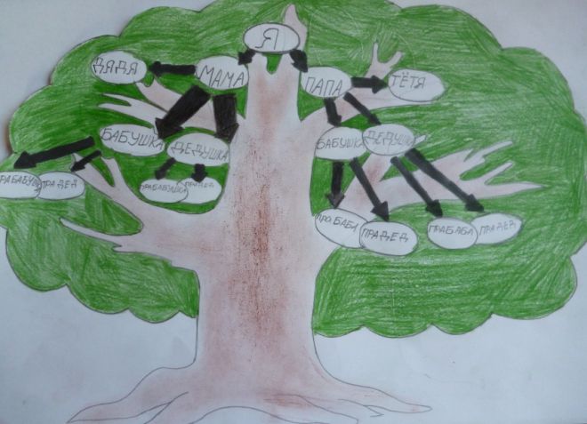 Cara menggambar pokok keluarga di sekolah10