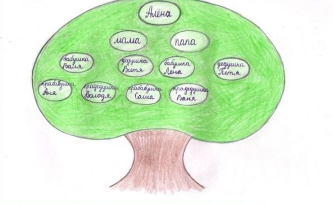 Kaip parengti šeimos medį mokykloje14
