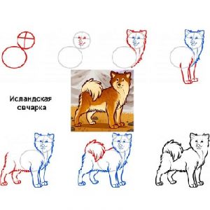cara menggambar anjing untuk kanak-kanak 4