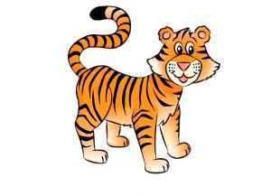 Как нарисовать тигра 20