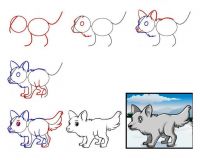 как нарисовать волка 1
