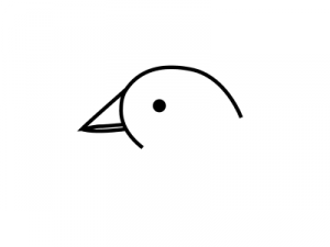 Come dipingere un piccione in matita Passo dopo passo 7