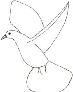 Come disegnare un piccione in una matita nelle fasi 3