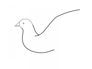 Come dipingere un piccione in matita Passo dopo passo Bambini 8