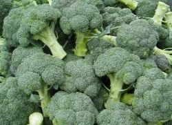 bagaimana memasak brokoli kepada kanak-kanak