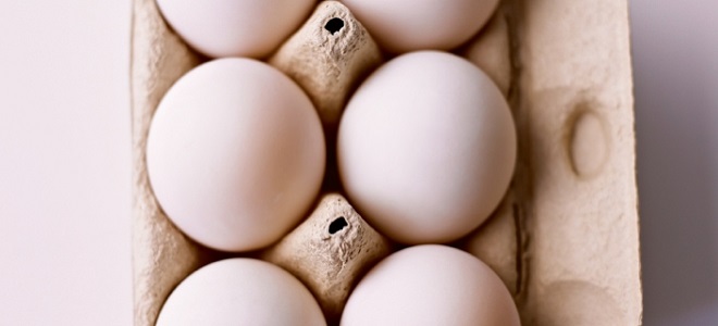 Bagaimana untuk memeriksa kesegaran telur