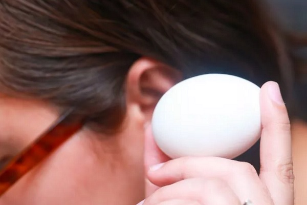 Cara menentukan kesegaran telur tanpa memecahkannya