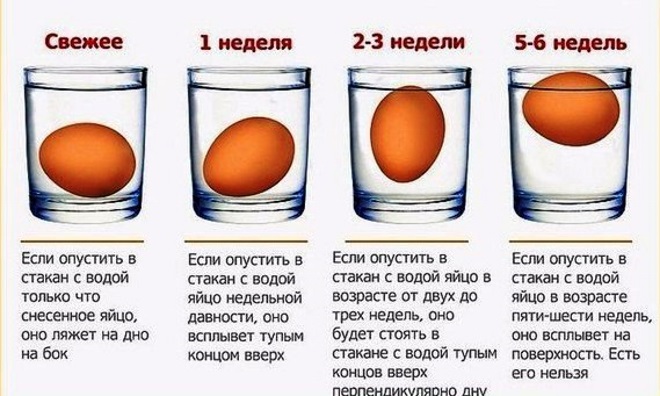 memeriksa telur untuk kesegaran dalam air 1