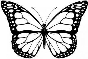 bagaimana membuat kupu-kupu dari kertas 29