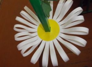 bagaimana membuat kertas daisy 16