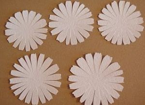 cara membuat kertas daisy 5
