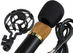 apa mikrofon untuk membeli karaoke