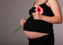 Antihistamin untuk wanita hamil