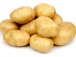 Adretta bulvių veislė