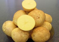 Bulvių 