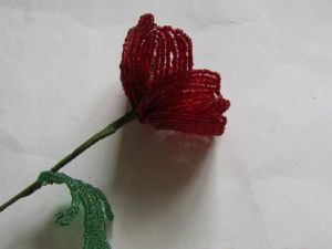 poppies dari manik kelas induk 34