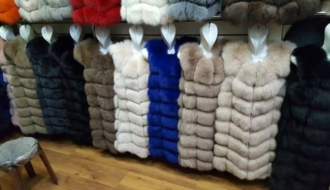 bagaimana memilih baju bulu dari musang kutub