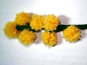 mimosa flower make-up7