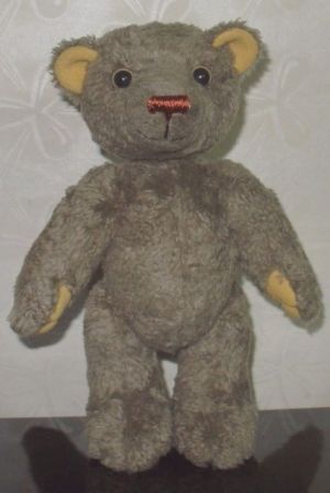 Teddy beruang dengan tangan24