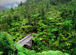 Taman Negara Wanganui