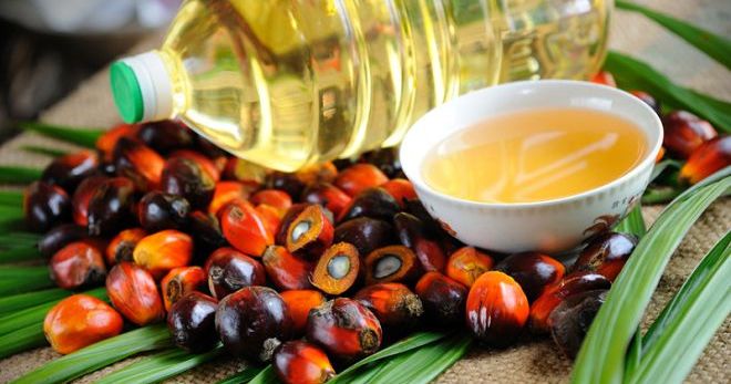 Пальмовое масло - вред для здоровья и фигуры
