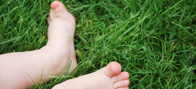 profilaksis kaki rata pada kanak-kanak
