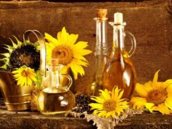 minyak bunga matahari di rumah2