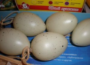 Подставки под пасхальные яйца своими руками 8