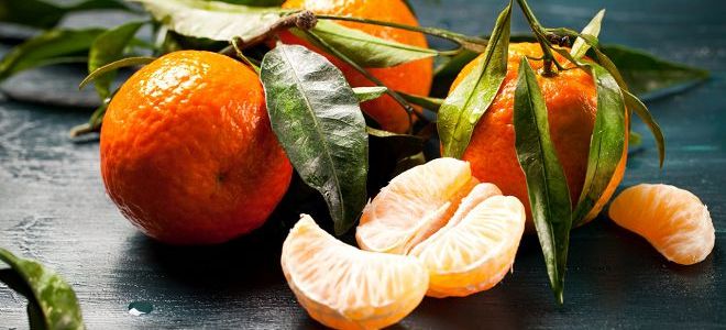 penggunaan mandarin untuk badan