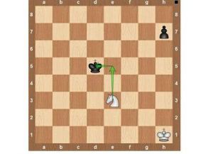 Peraturan permainan chess11