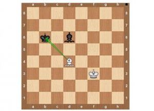 Peraturan permainan chess12