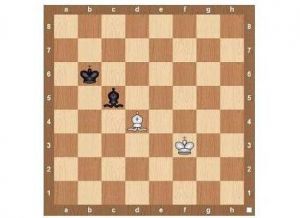 Peraturan permainan chess13