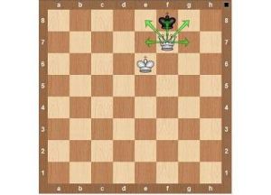Правила игры в шахматы14