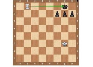 Правила игры в шахматы15