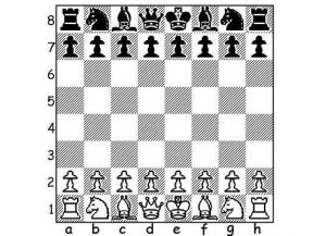 Peraturan permainan chess1
